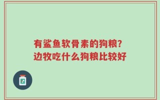 有鲨鱼软骨素的狗粮？边牧吃什么狗粮比较好