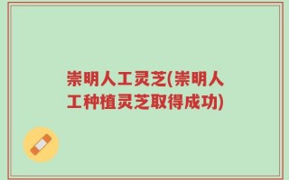 崇明人工灵芝(崇明人工种植灵芝取得成功)