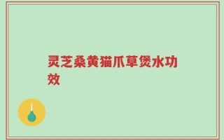 灵芝桑黄猫爪草煲水功效