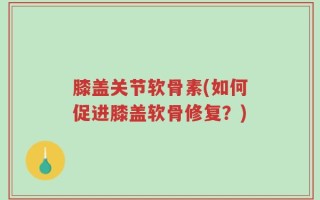 膝盖关节软骨素(如何促进膝盖软骨修复？)