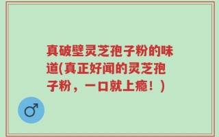 真破壁灵芝孢子粉的味道(真正好闻的灵芝孢子粉，一口就上瘾！)