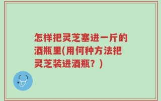 怎样把灵芝塞进一斤的酒瓶里(用何种方法把灵芝装进酒瓶？)