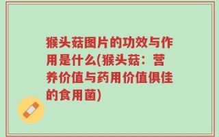 猴头菇图片的功效与作用是什么(猴头菇：营养价值与药用价值俱佳的食用菌)