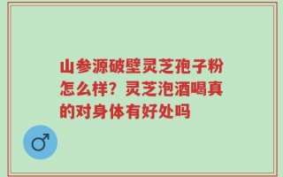 山参源破壁灵芝孢子粉怎么样？灵芝泡酒喝真的对身体有好处吗