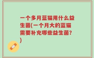 一个多月蓝猫用什么益生菌(一个月大的蓝猫需要补充哪些益生菌？)