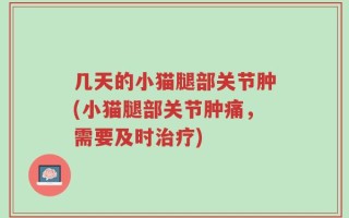 几天的小猫腿部关节肿(小猫腿部关节肿痛，需要及时治疗)