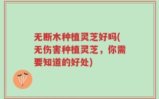无断木种植灵芝好吗(无伤害种植灵芝，你需要知道的好处)