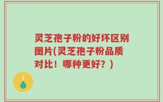 灵芝孢子粉的好坏区别图片(灵芝孢子粉品质对比！哪种更好？)