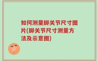 如何测量脚关节尺寸图片(脚关节尺寸测量方法及示意图)