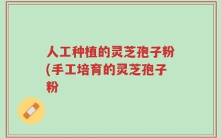 人工种植的灵芝孢子粉(手工培育的灵芝孢子粉
