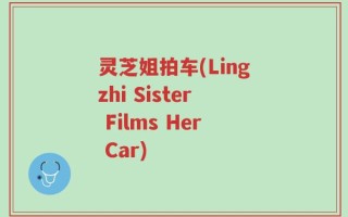 灵芝姐拍车(Lingzhi Sister Films Her Car)