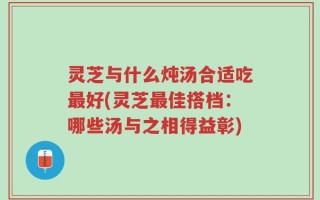 灵芝与什么炖汤合适吃最好(灵芝最佳搭档：哪些汤与之相得益彰)