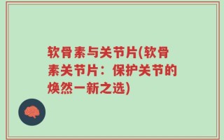 软骨素与关节片(软骨素关节片：保护关节的焕然一新之选)