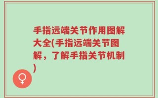 手指远端关节作用图解大全(手指远端关节图解，了解手指关节机制)