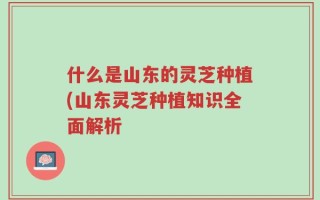 什么是山东的灵芝种植(山东灵芝种植知识全面解析