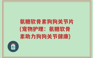 氨糖软骨素狗狗关节片(宠物护理：氨糖软骨素助力狗狗关节健康)