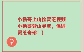 小杨哥上山捡灵芝视频小杨哥登山寻宝，偶遇灵芝奇珍！)