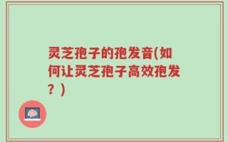 灵芝孢子的孢发音(如何让灵芝孢子高效孢发？)