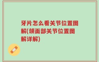 牙片怎么看关节位置图解(颌面部关节位置图解详解)
