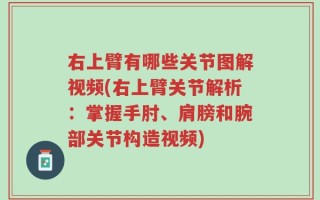 右上臂有哪些关节图解视频(右上臂关节解析：掌握手肘、肩膀和腕部关节构造视频)