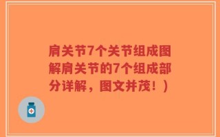 肩关节7个关节组成图解肩关节的7个组成部分详解，图文并茂！)