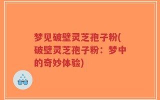 梦见破壁灵芝孢子粉(破壁灵芝孢子粉：梦中的奇妙体验)