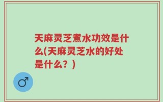 天麻灵芝煮水功效是什么(天麻灵芝水的好处是什么？)