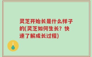 灵芝开始长是什么样子的(灵芝如何生长？快速了解成长过程)