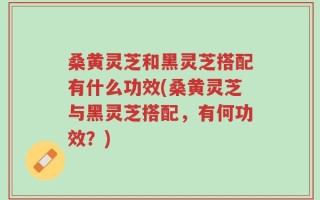 桑黄灵芝和黑灵芝搭配有什么功效(桑黄灵芝与黑灵芝搭配，有何功效？)