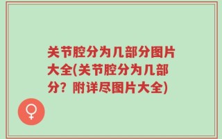关节腔分为几部分图片大全(关节腔分为几部分？附详尽图片大全)