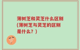 薄树芝和灵芝什么区别(薄树芝与灵芝的区别是什么？)