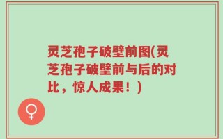 灵芝孢子破壁前图(灵芝孢子破壁前与后的对比，惊人成果！)