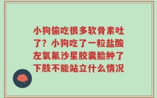 小狗偷吃很多软骨素吐了？小狗吃了一粒盐酸左氧氟沙星胶囊脸肿了下肢不能站立什么情况