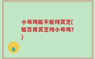 小母鸡能不能炖灵芝(能否用灵芝炖小母鸡？)