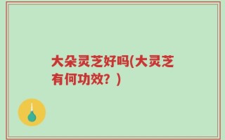 大朵灵芝好吗(大灵芝有何功效？)