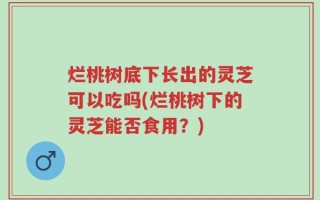 烂桃树底下长出的灵芝可以吃吗(烂桃树下的灵芝能否食用？)