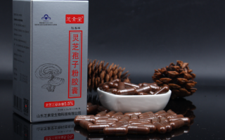 灵芝孢子粉的价位有哪些因素决定？