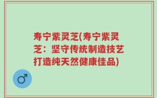 寿宁紫灵芝(寿宁紫灵芝：坚守传统制造技艺打造纯天然健康佳品)