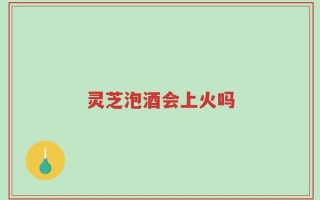 灵芝泡酒会上火吗