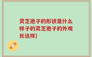 灵芝孢子的形状是什么样子的灵芝孢子的外观长这样)
