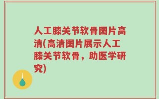 人工膝关节软骨图片高清(高清图片展示人工膝关节软骨，助医学研究)
