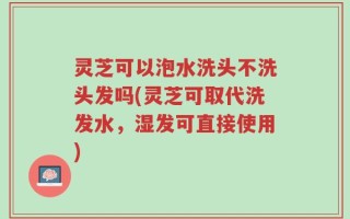 灵芝可以泡水洗头不洗头发吗(灵芝可取代洗发水，湿发可直接使用)