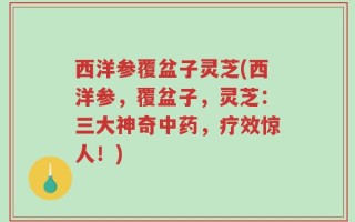 西洋参覆盆子灵芝(西洋参，覆盆子，灵芝：三大神奇中药，疗效惊人！)