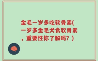 金毛一岁多吃软骨素(一岁多金毛犬食软骨素，重要性你了解吗？)