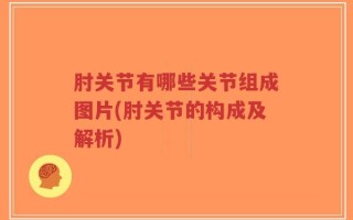 肘关节有哪些关节组成图片(肘关节的构成及解析)