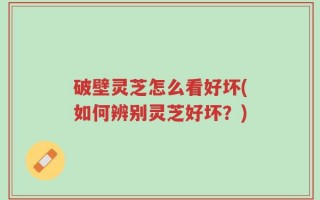 破壁灵芝怎么看好坏(如何辨别灵芝好坏？)