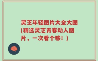 灵芝年轻图片大全大图(精选灵芝青春动人图片，一次看个够！)
