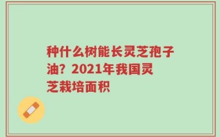 种什么树能长灵芝孢子油？2021年我国灵芝栽培面积