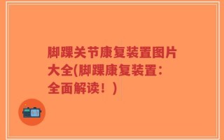 脚踝关节康复装置图片大全(脚踝康复装置：全面解读！)