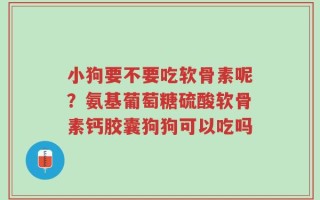 小狗要不要吃软骨素呢？氨基葡萄糖硫酸软骨素钙胶囊狗狗可以吃吗